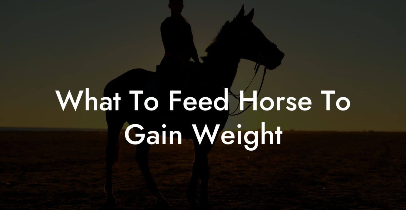 What To Feed Horse To Gain Weight