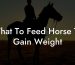 What To Feed Horse To Gain Weight