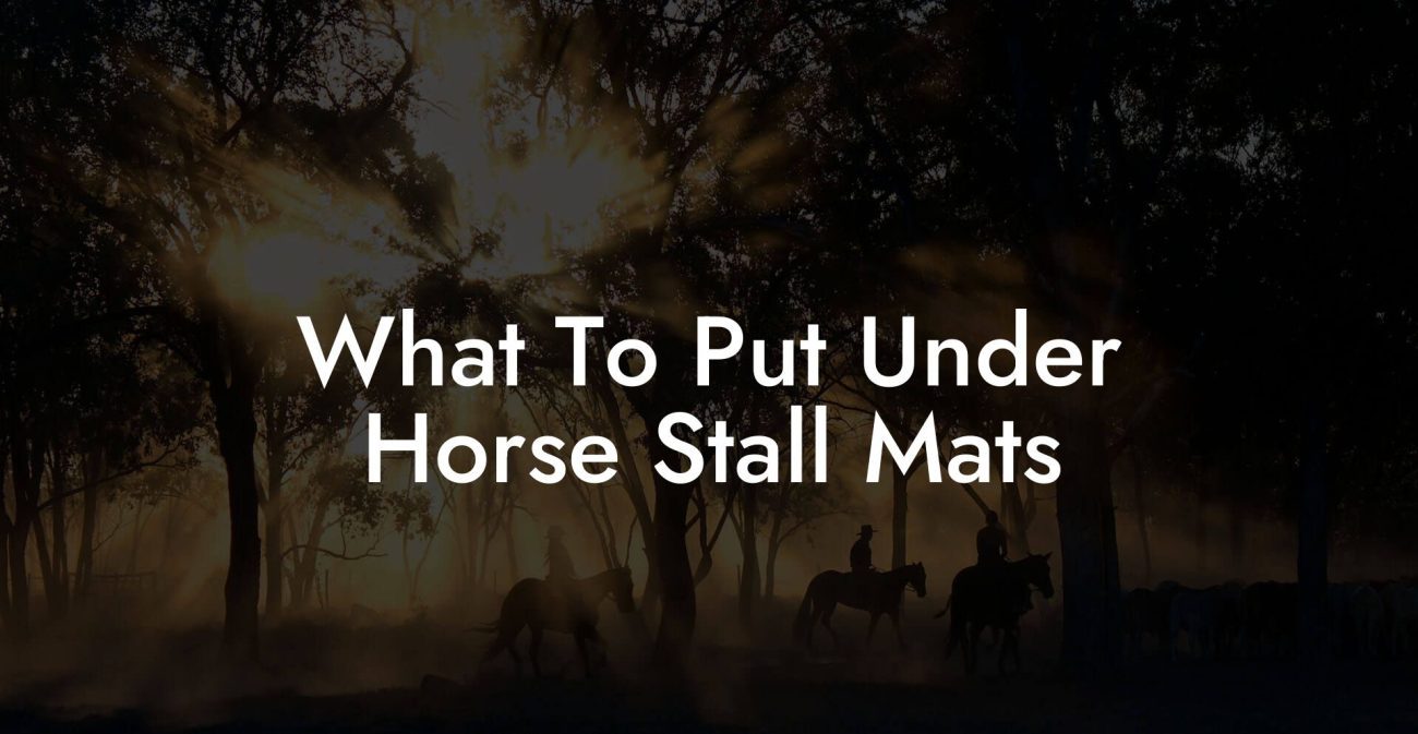 What To Put Under Horse Stall Mats