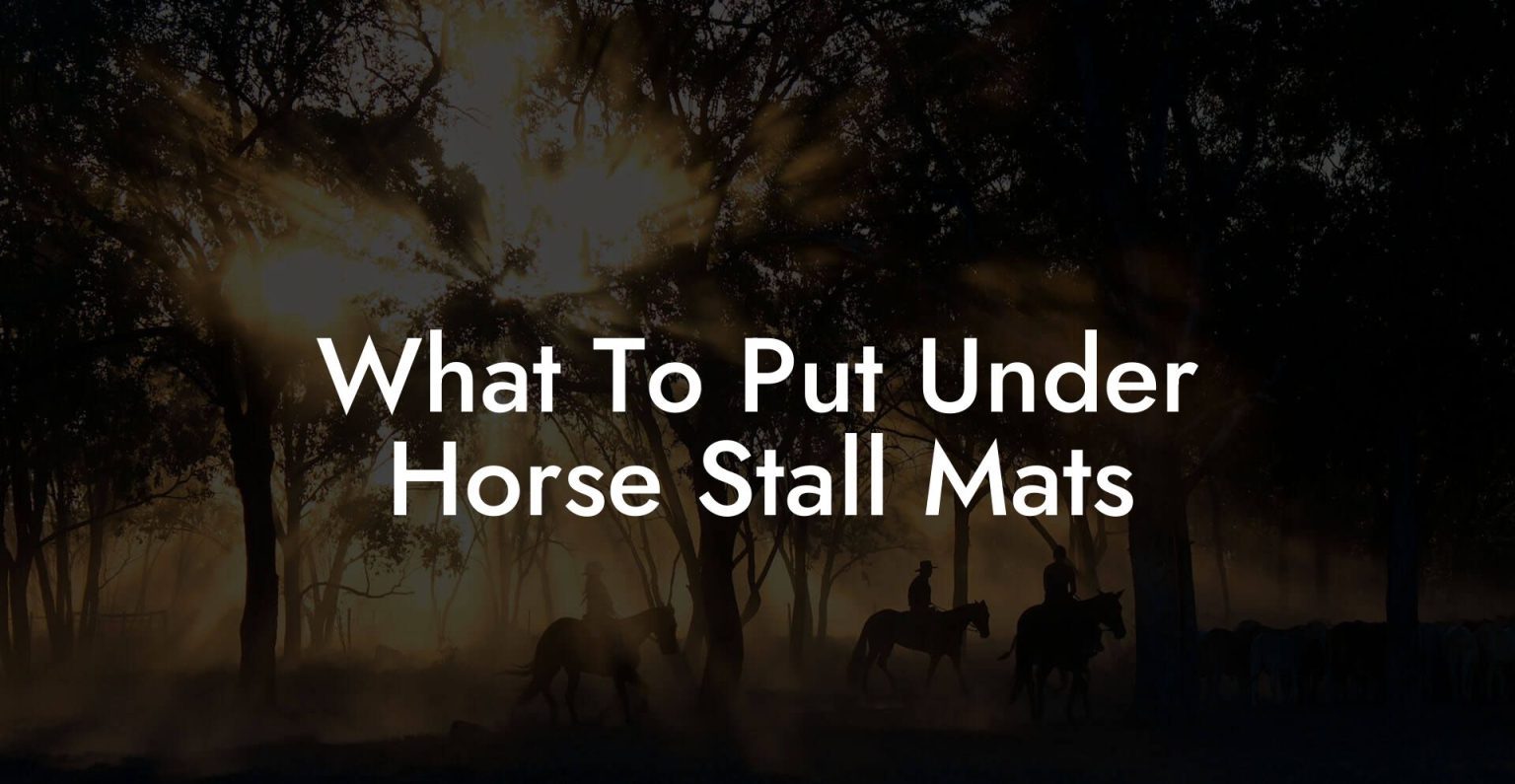 What To Put Under Horse Stall Mats How To Own a Horse