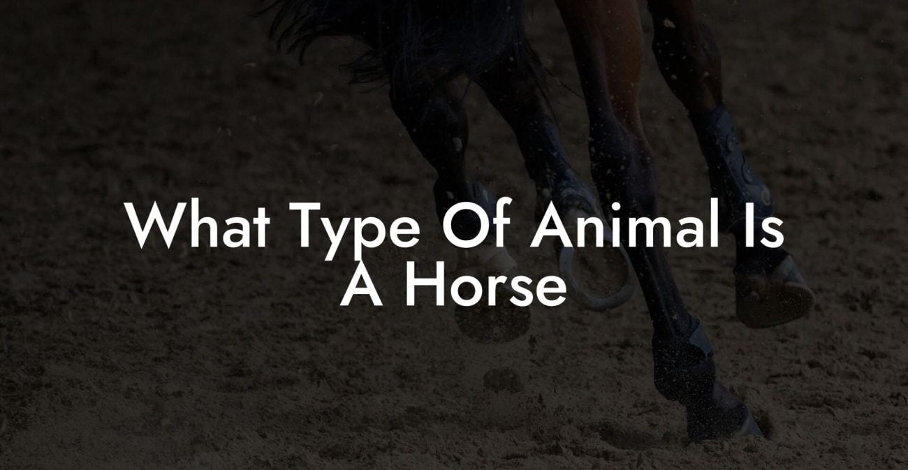 What Type Of Animal Is A Horse