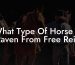 What Type Of Horse Is Raven From Free Rein