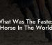 What Was The Fastest Horse In The World