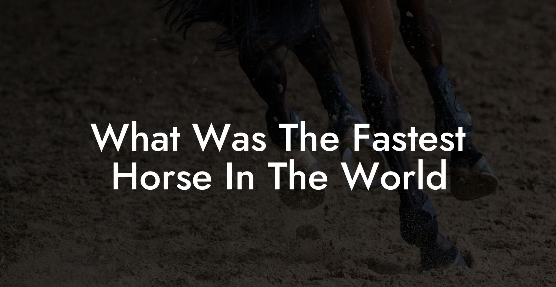 What Was The Fastest Horse In The World