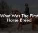 What Was The First Horse Breed