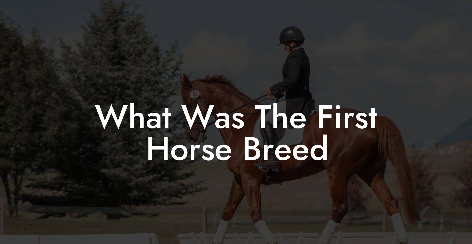 What Was The First Horse Breed