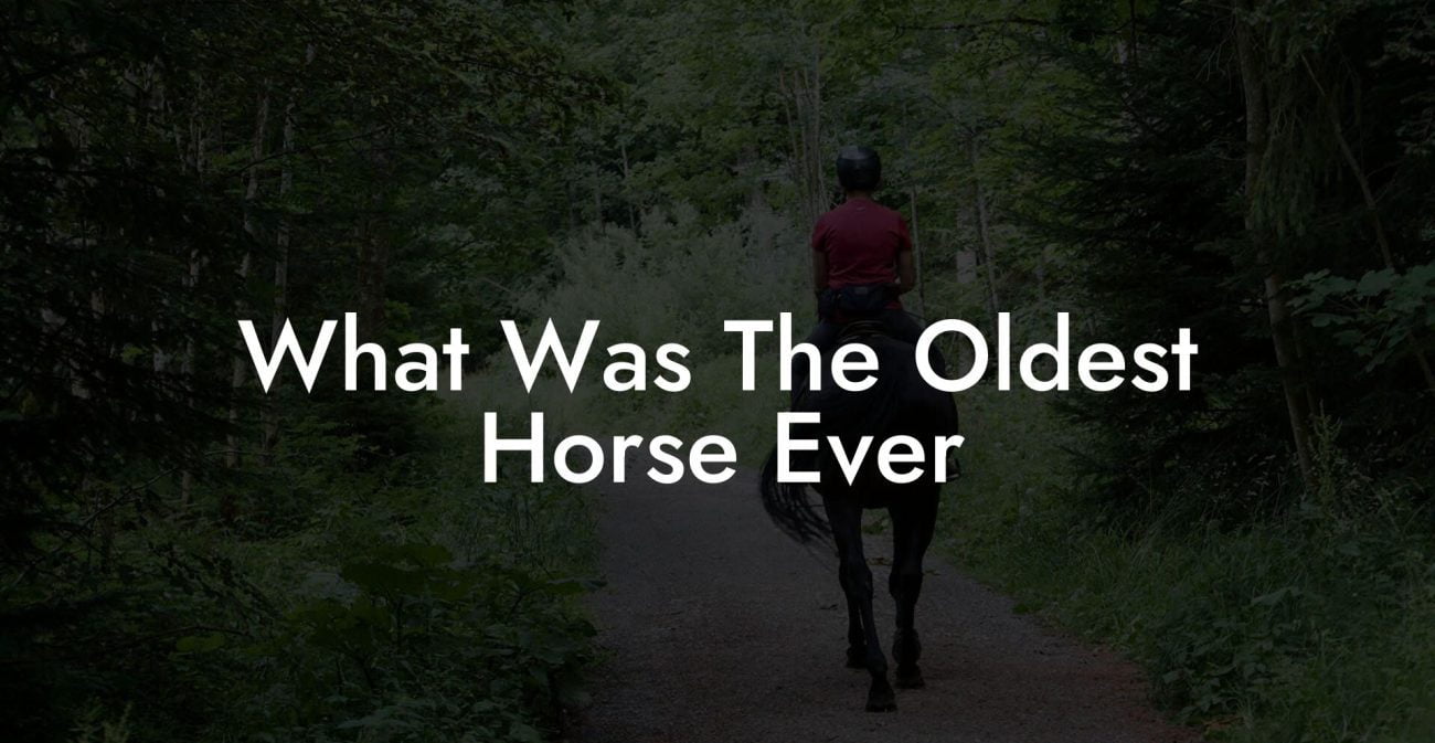 What Was The Oldest Horse Ever