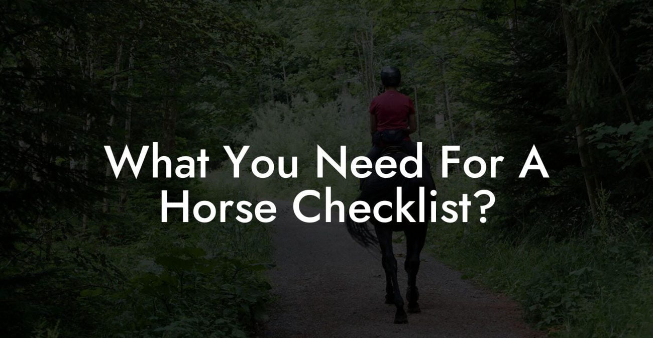 What You Need For A Horse Checklist?