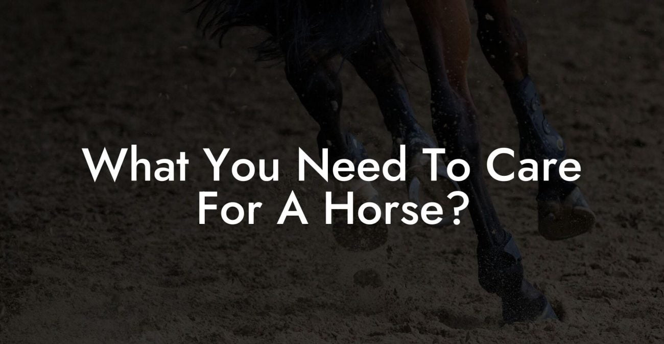 What You Need To Care For A Horse?