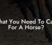 What You Need To Care For A Horse?