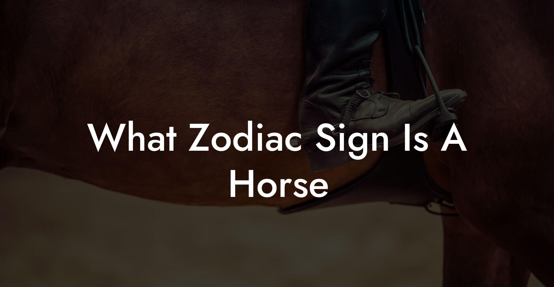 What Zodiac Sign Is A Horse