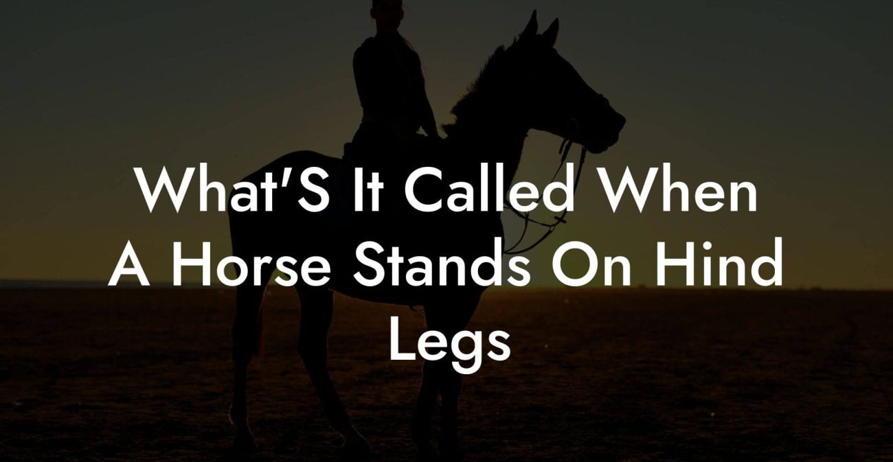 What'S It Called When A Horse Stands On Hind Legs