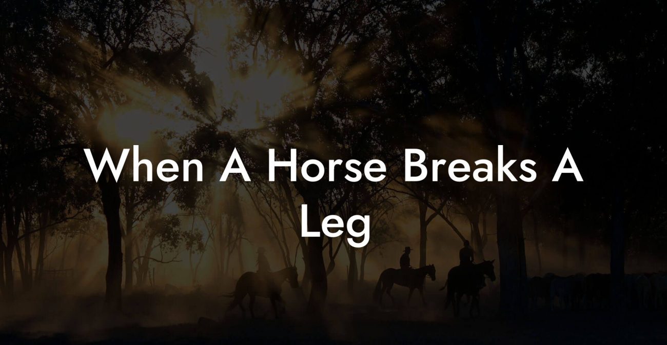 When A Horse Breaks A Leg