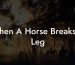 When A Horse Breaks A Leg
