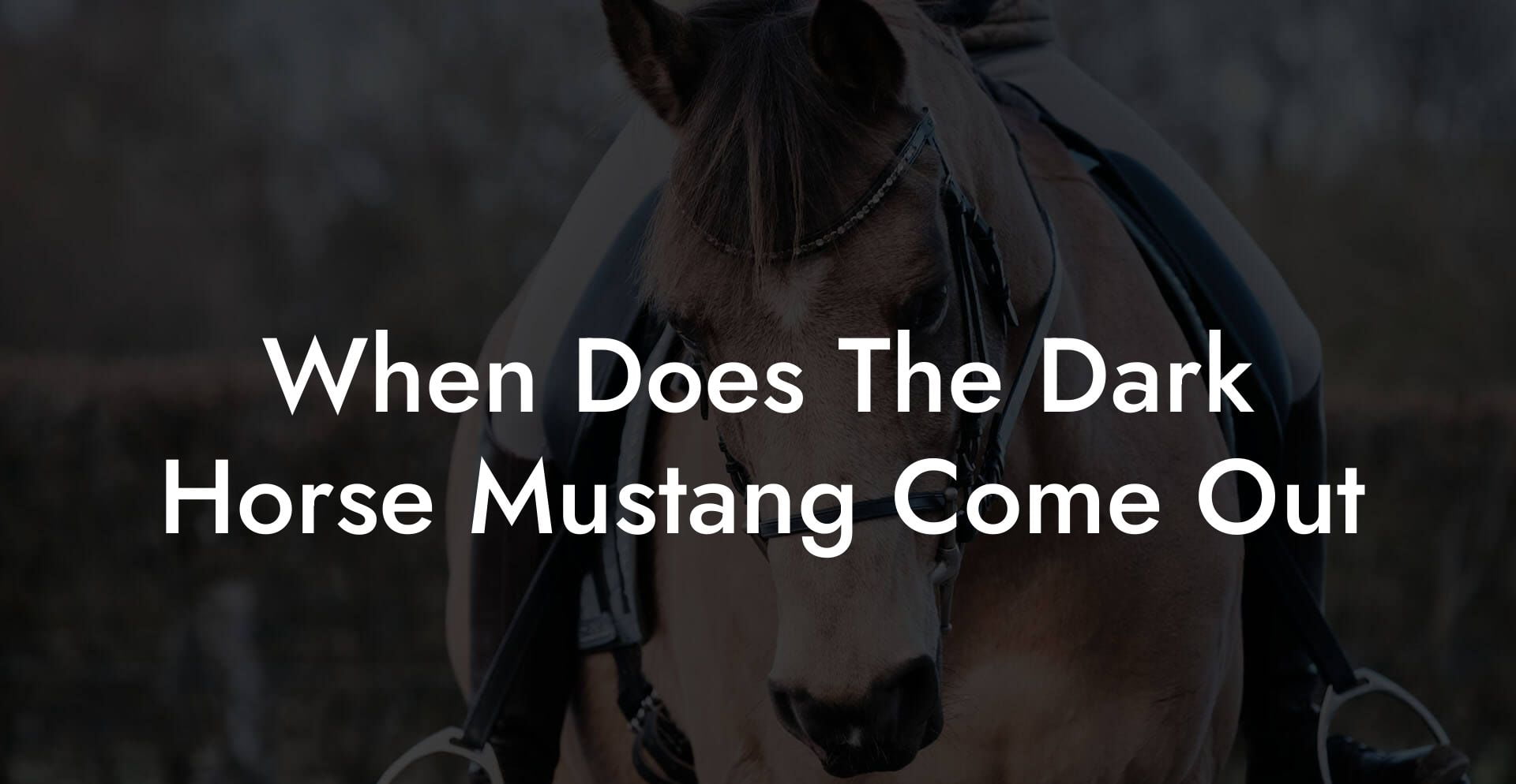 When Does The Dark Horse Mustang Come Out - How To Own a Horse