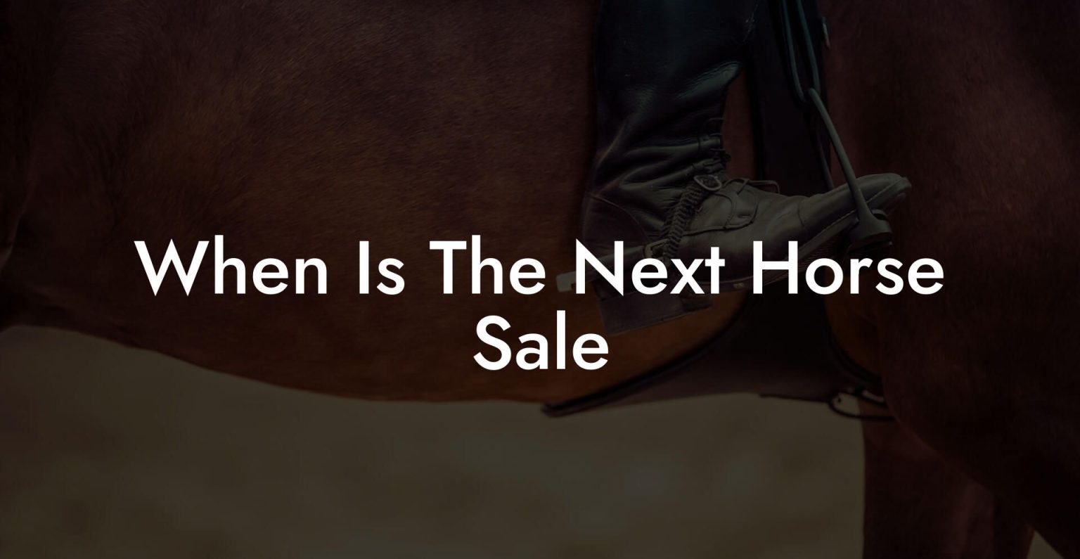 When Is The Next Horse Sale How To Own a Horse