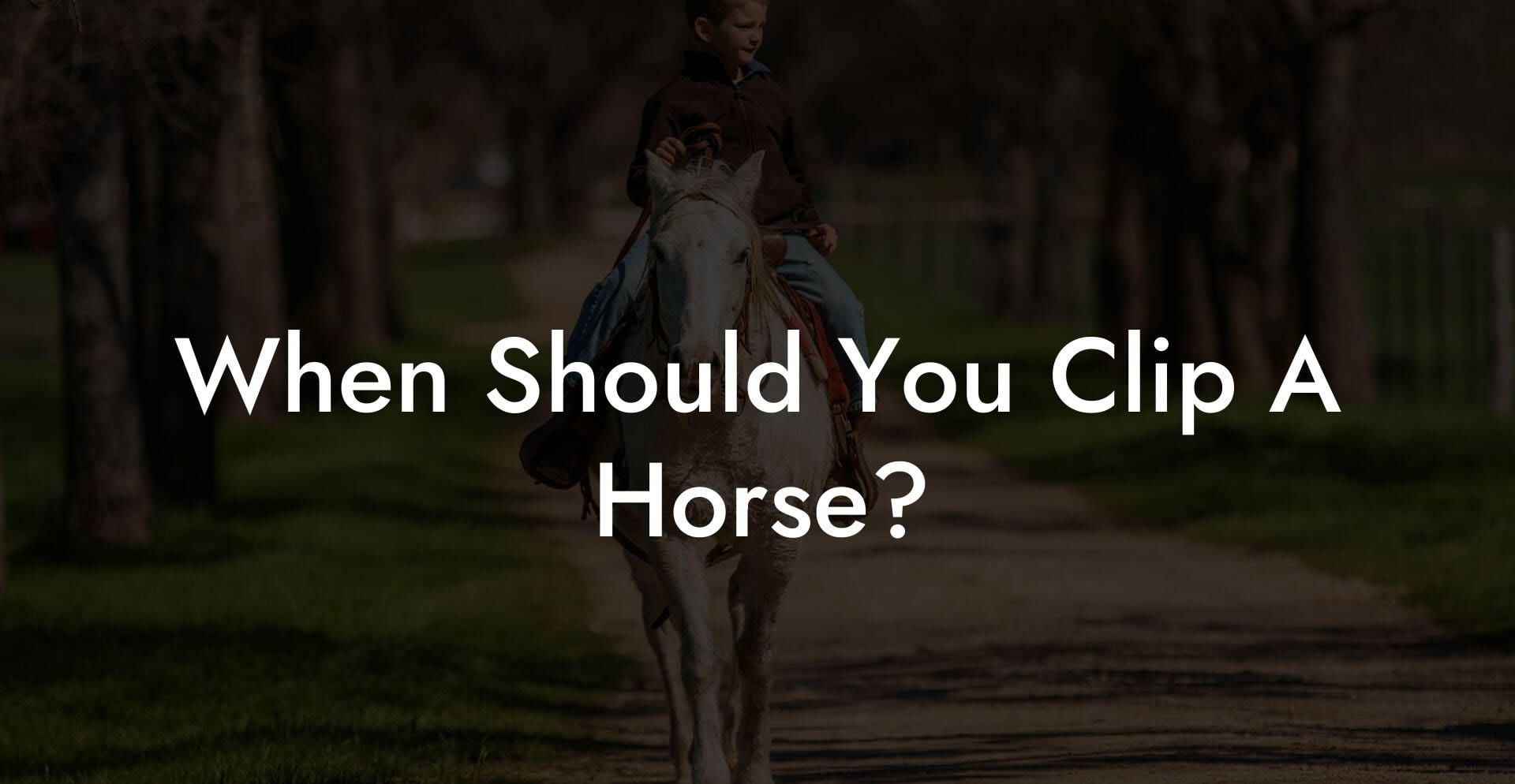 When Should You Clip A Horse?