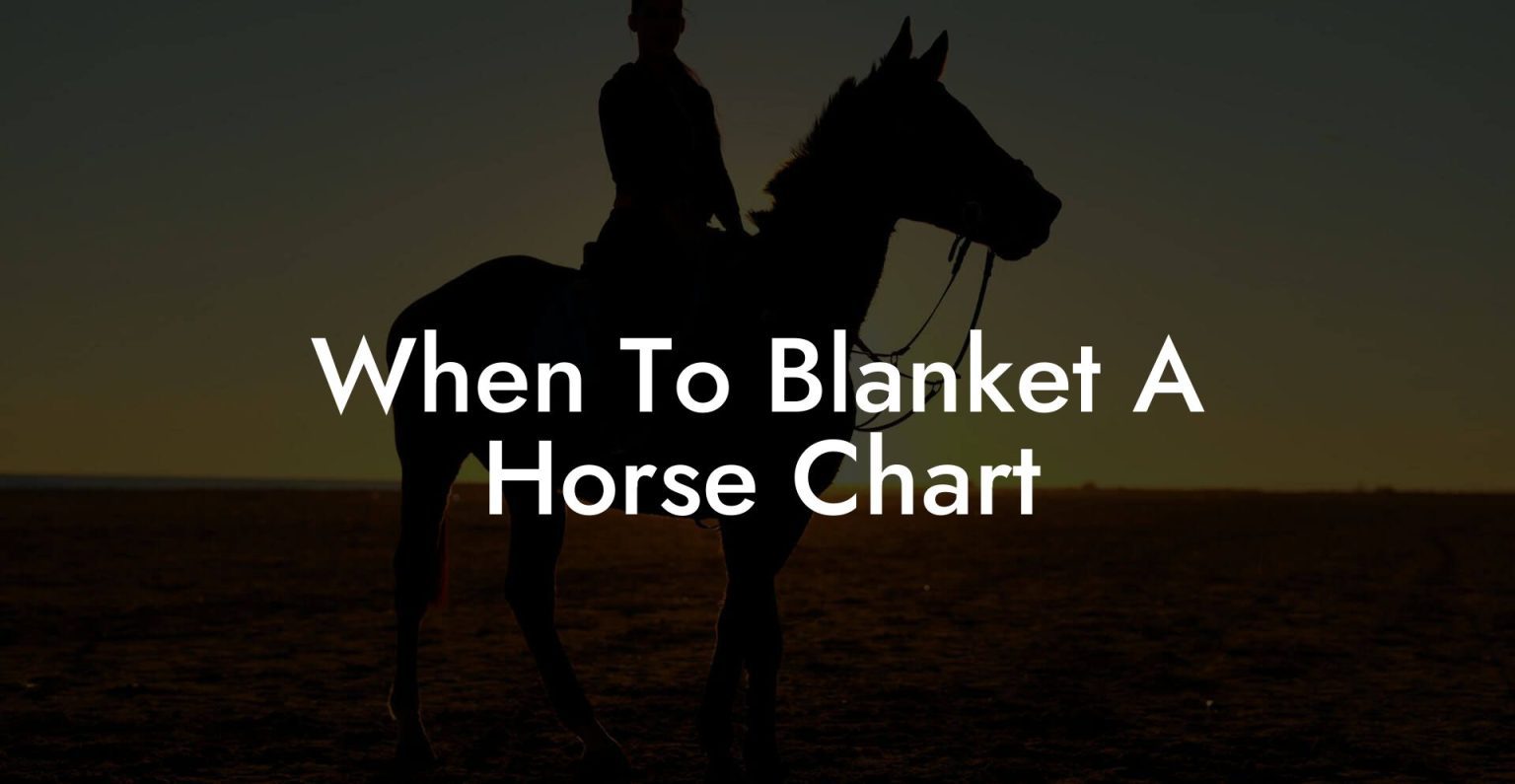 When To Blanket A Horse Chart How To Own a Horse