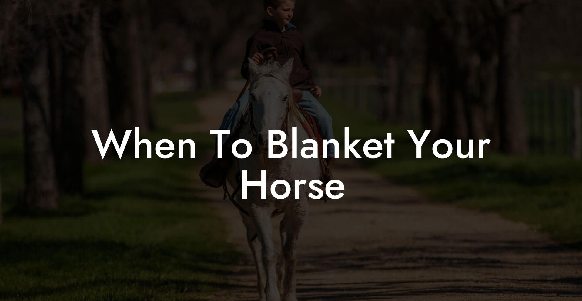 When To Blanket Your Horse