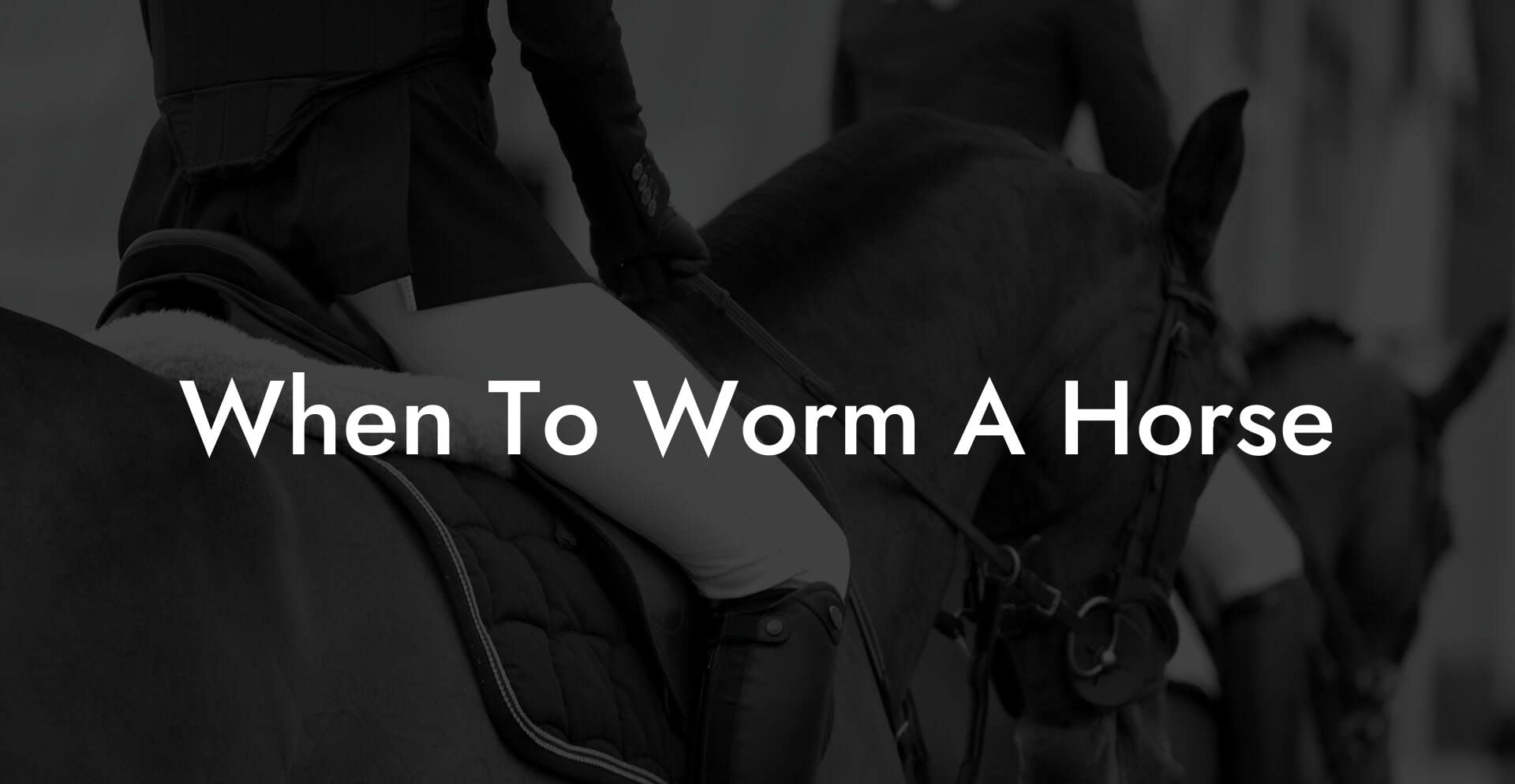 When To Worm A Horse