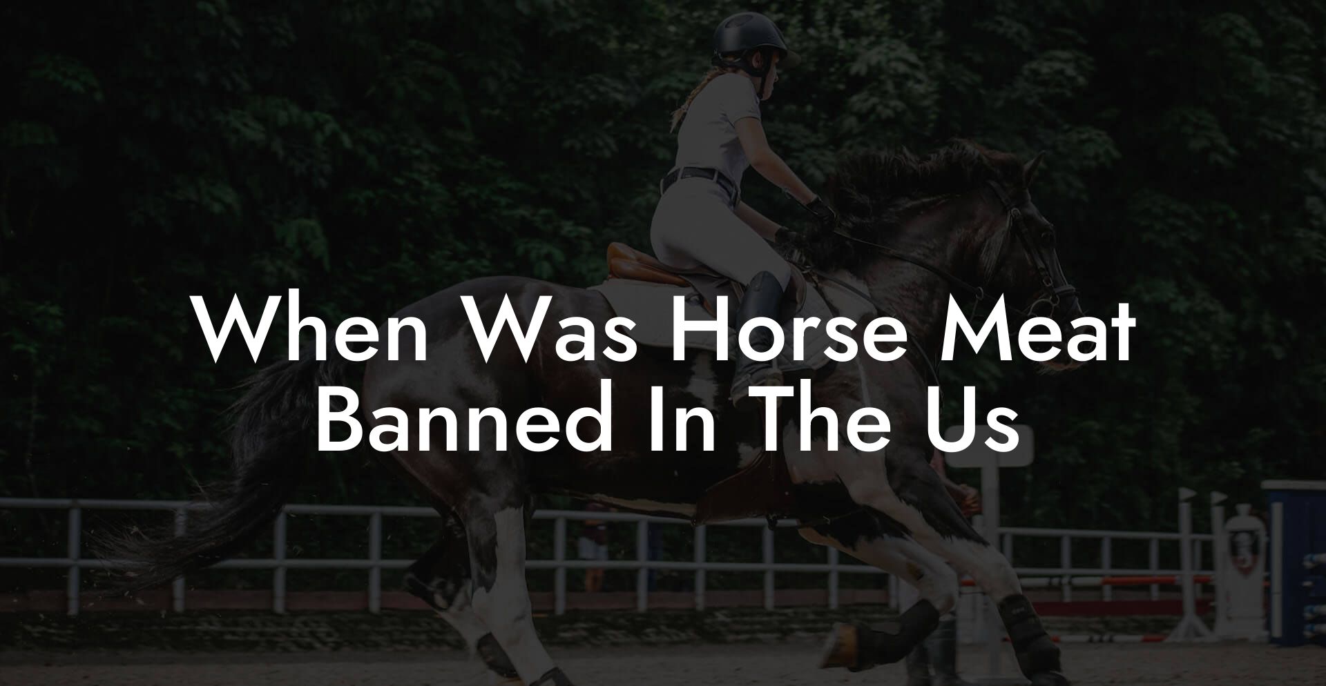 When Was Horse Meat Banned In The Us