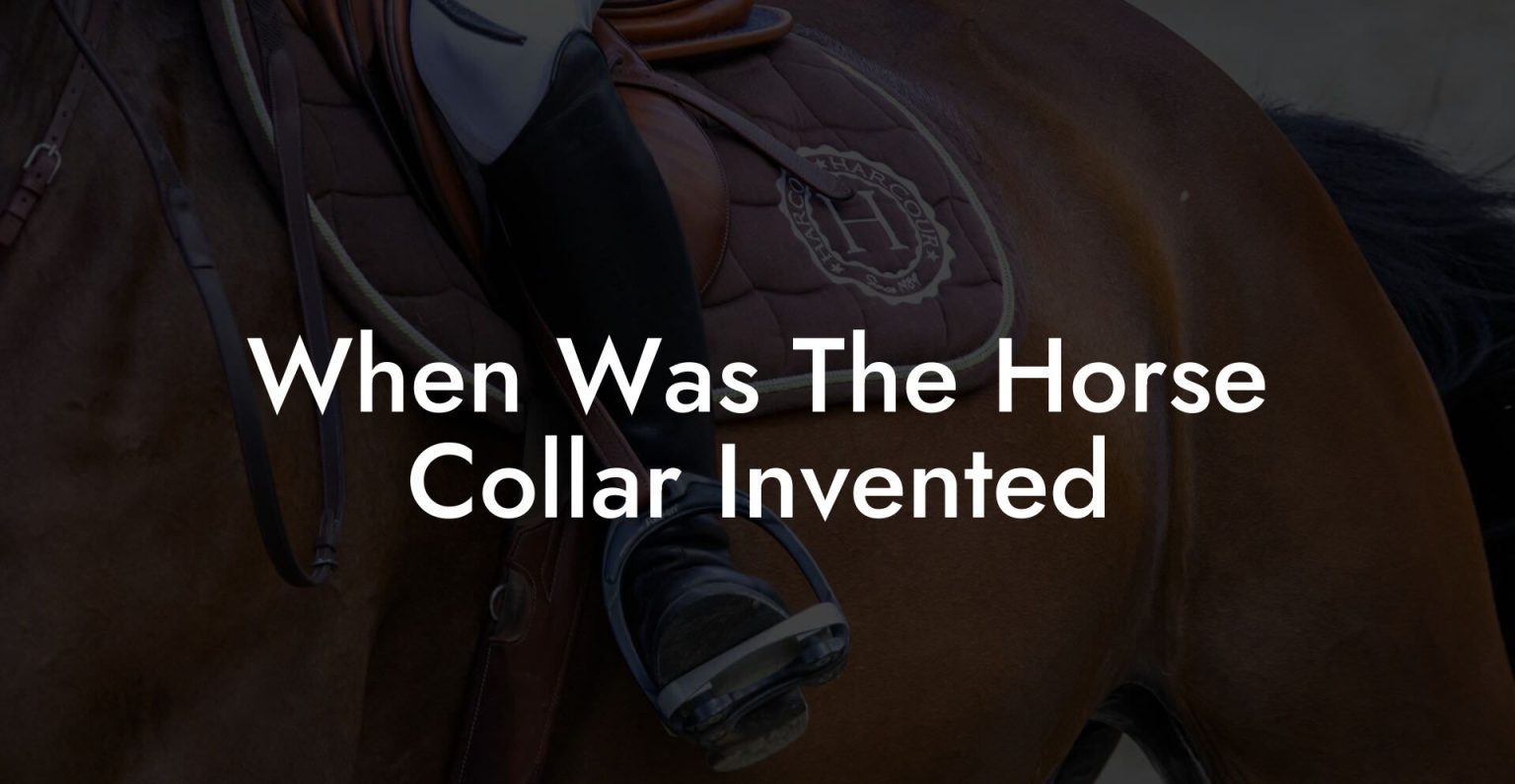 When Was The Horse Collar Invented How To Own a Horse