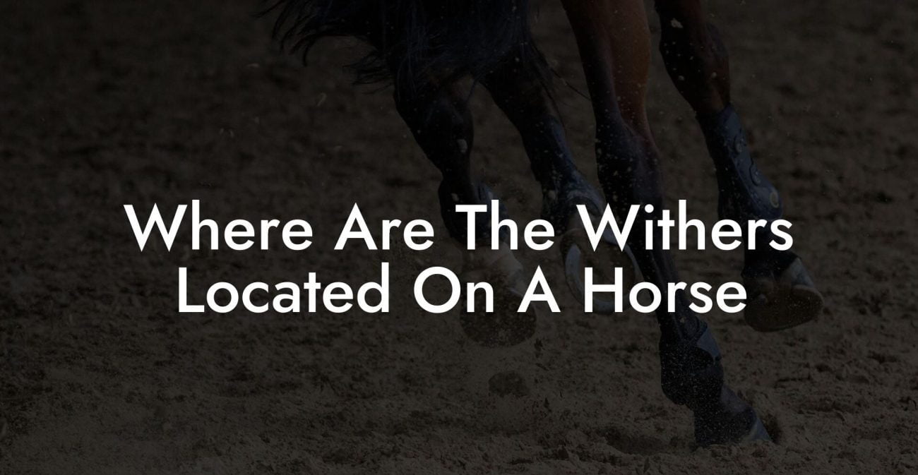 Where Are The Withers Located On A Horse