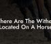 Where Are The Withers Located On A Horse