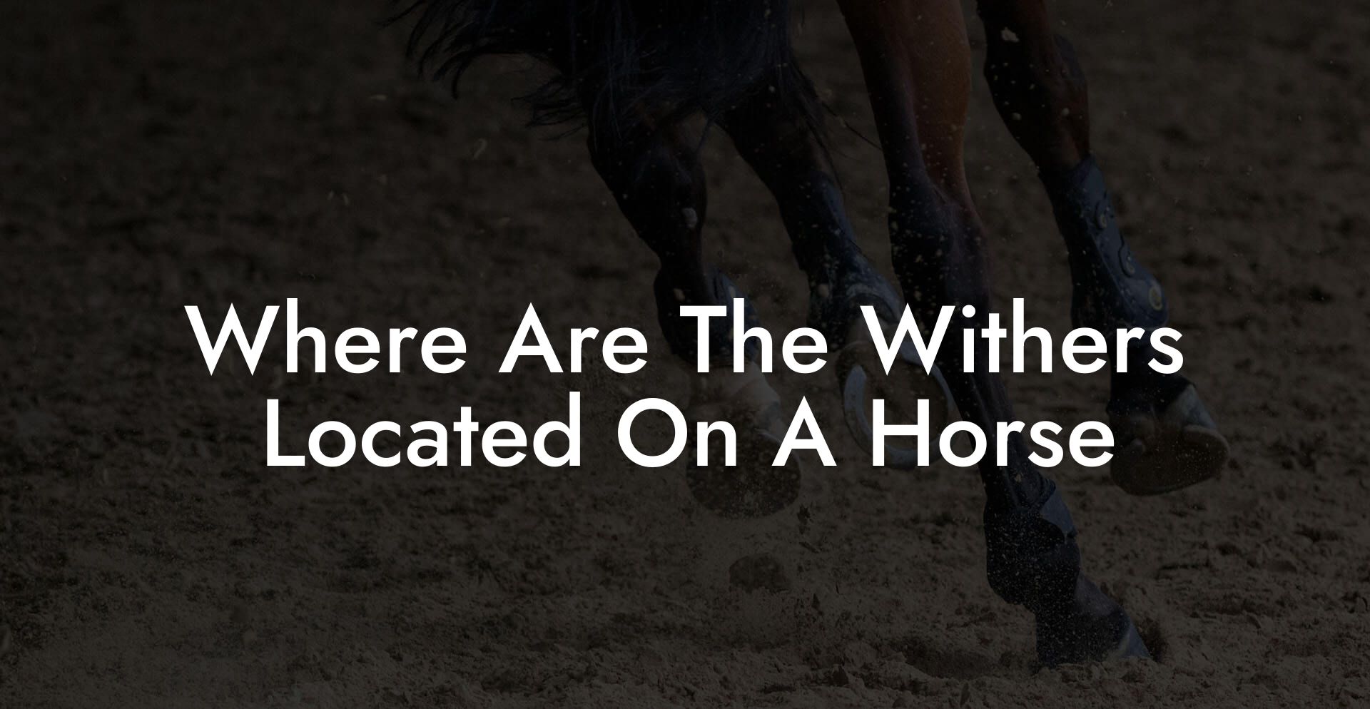 Where Are The Withers Located On A Horse