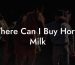 Where Can I Buy Horse Milk