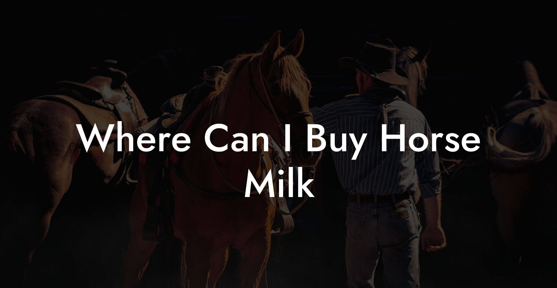 Where Can I Buy Horse Milk