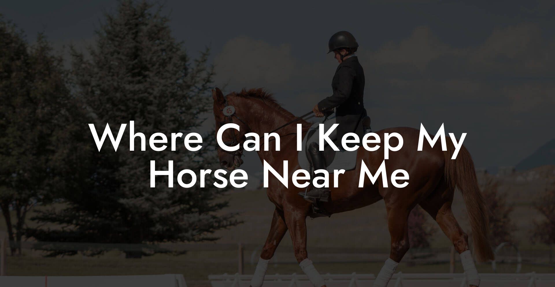Where Can I Keep My Horse Near Me