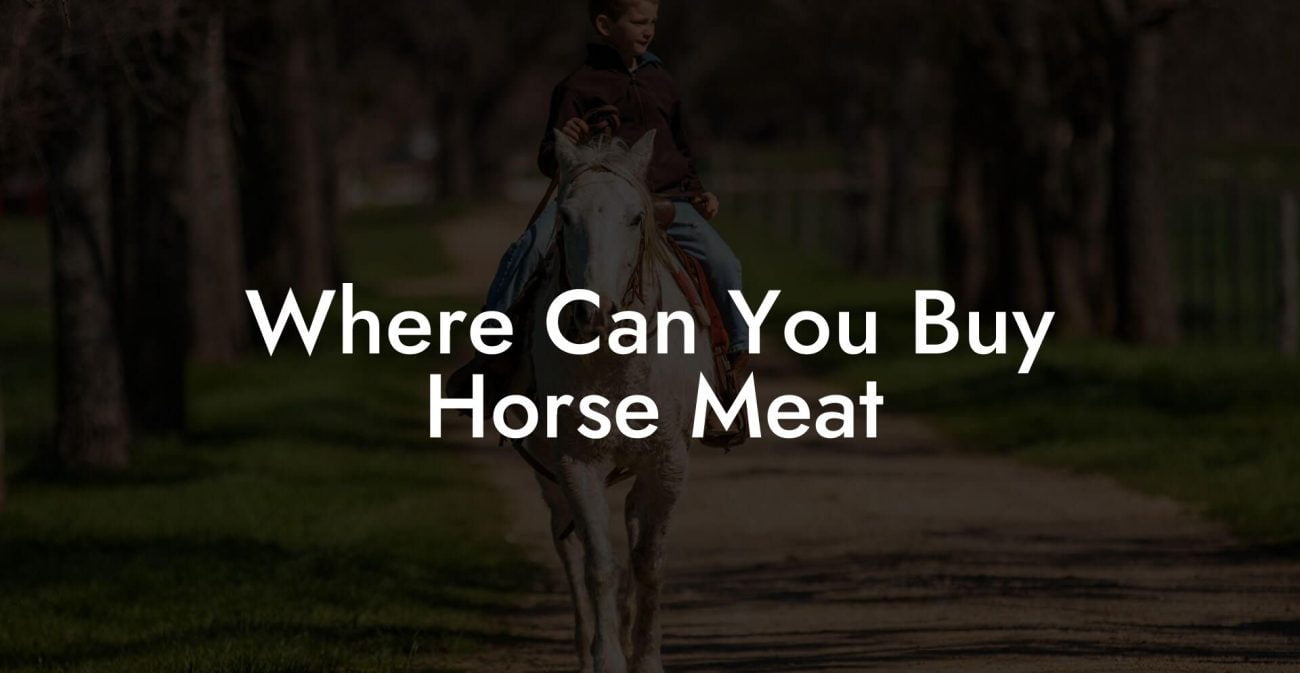 Where Can You Buy Horse Meat