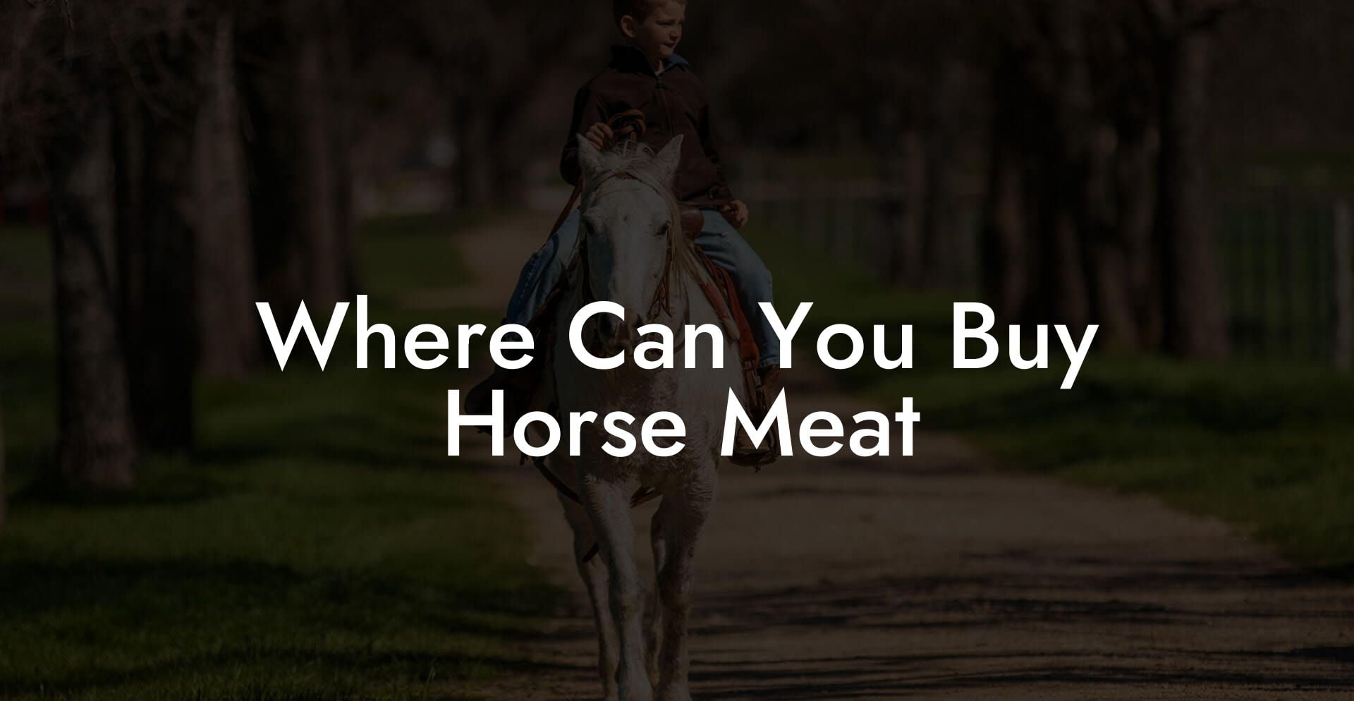 Where Can You Buy Horse Meat