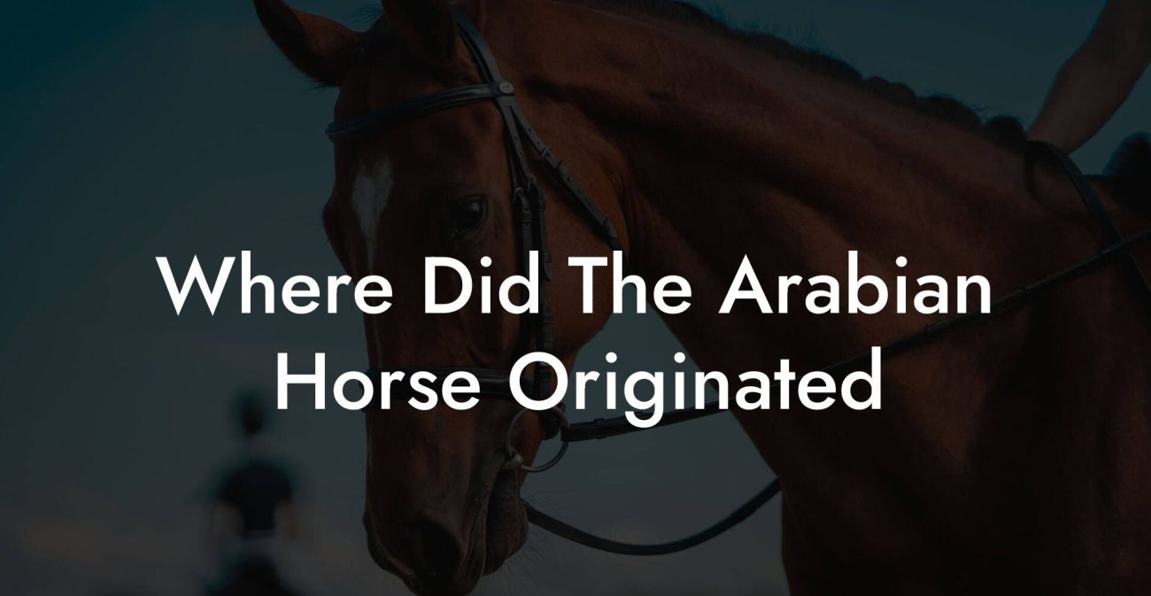 Where Did The Arabian Horse Originated