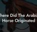 Where Did The Arabian Horse Originated