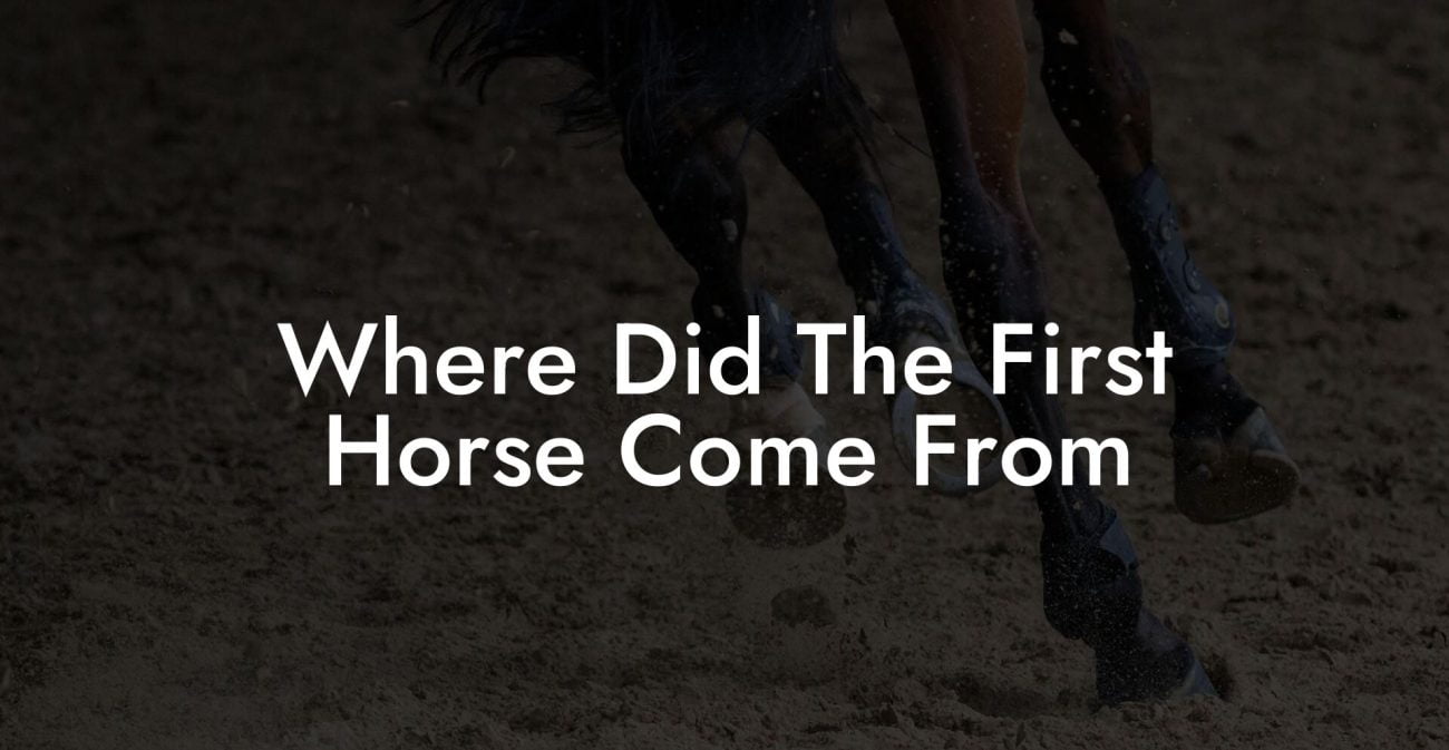 Where Did The First Horse Come From