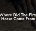Where Did The First Horse Come From