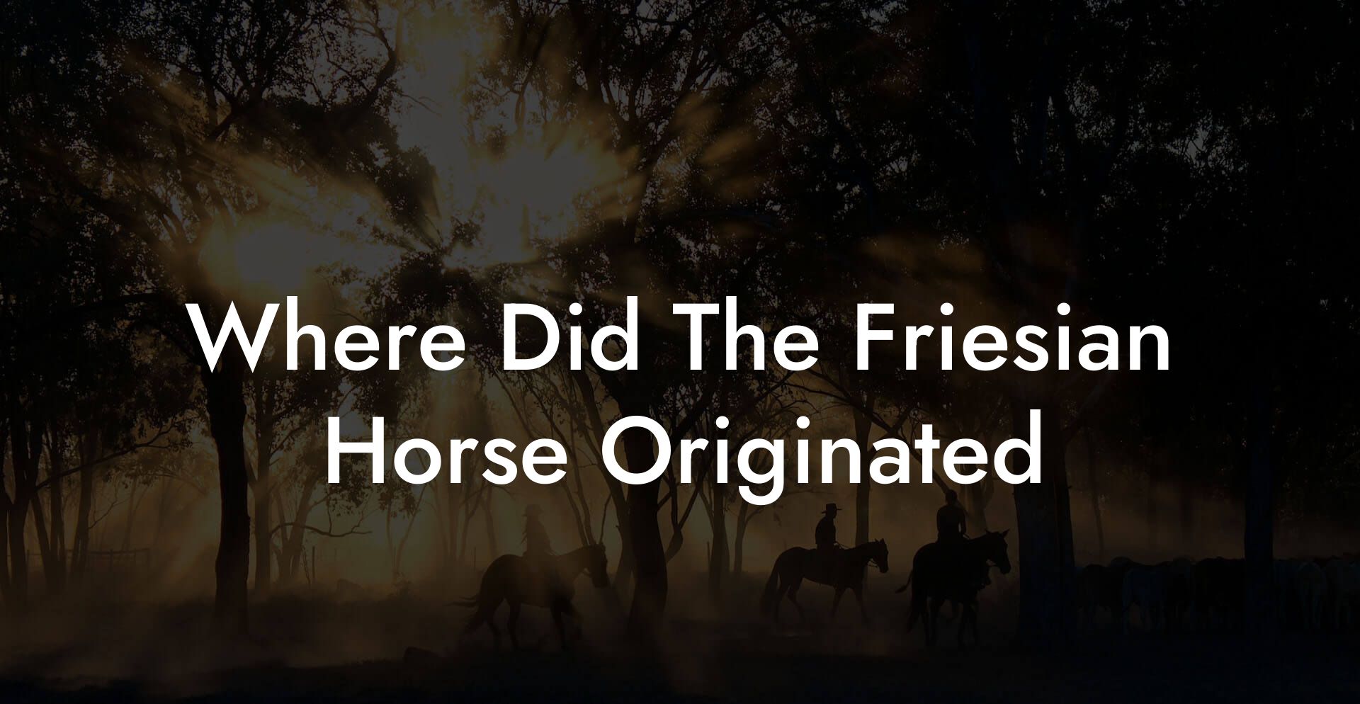 Where Did The Friesian Horse Originated