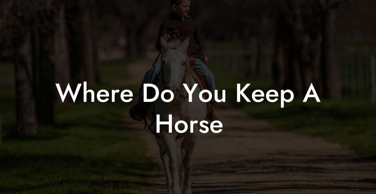 Where Do You Keep A Horse