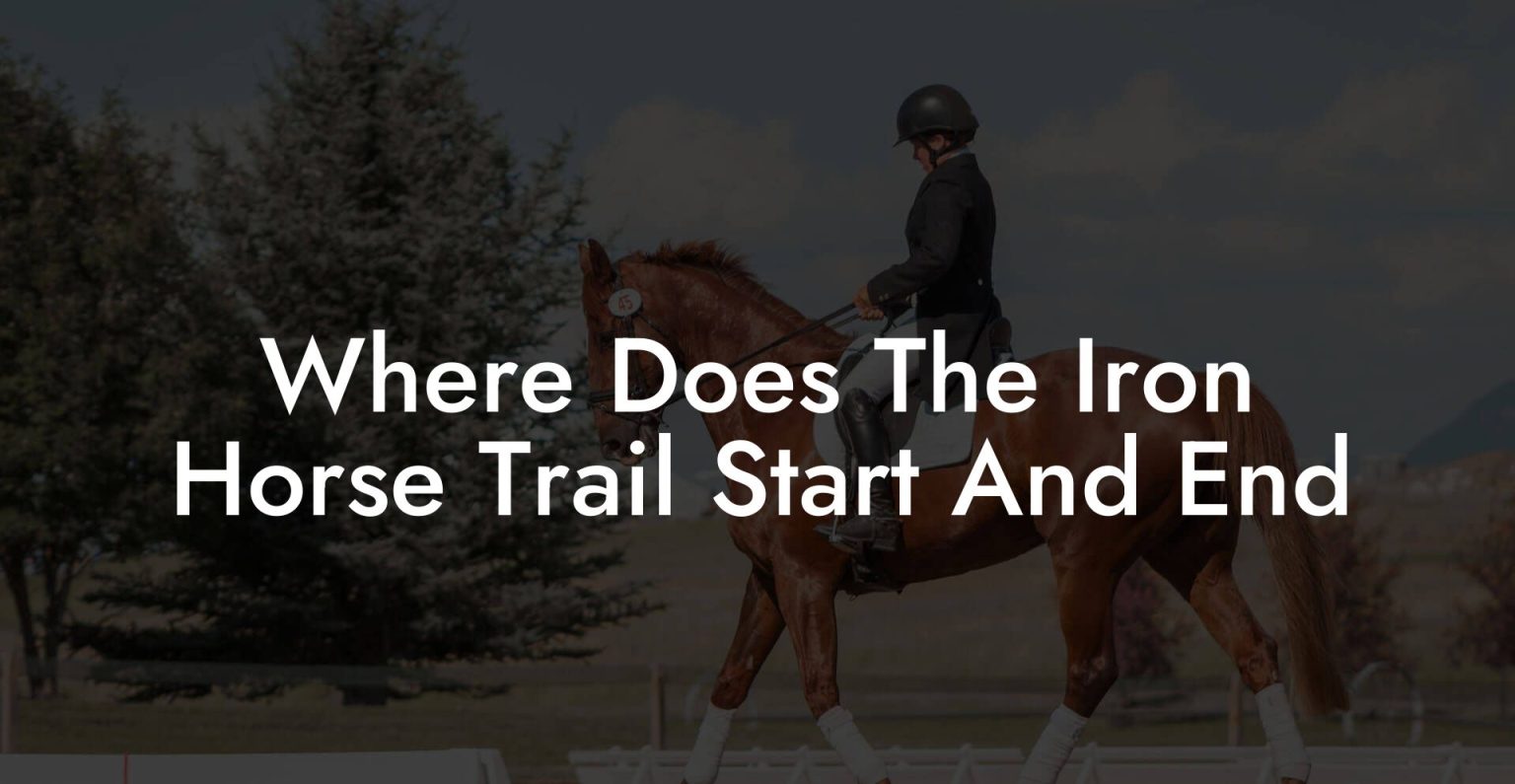 Where Does The Iron Horse Trail Start And End How To Own a Horse