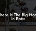 Where Is The Big Horse In Botw