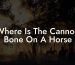 Where Is The Cannon Bone On A Horse