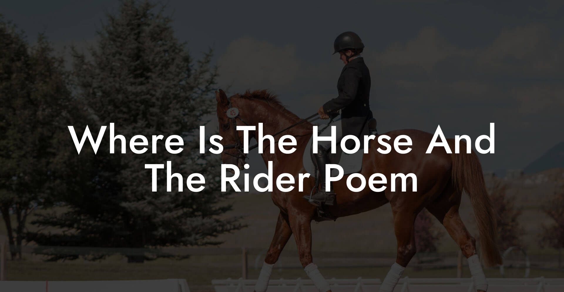 Where Is The Horse And The Rider Poem