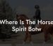 Where Is The Horse Spirit Botw