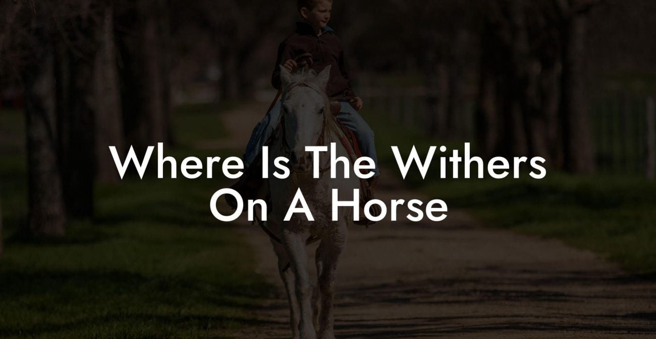 Where Is The Withers On A Horse