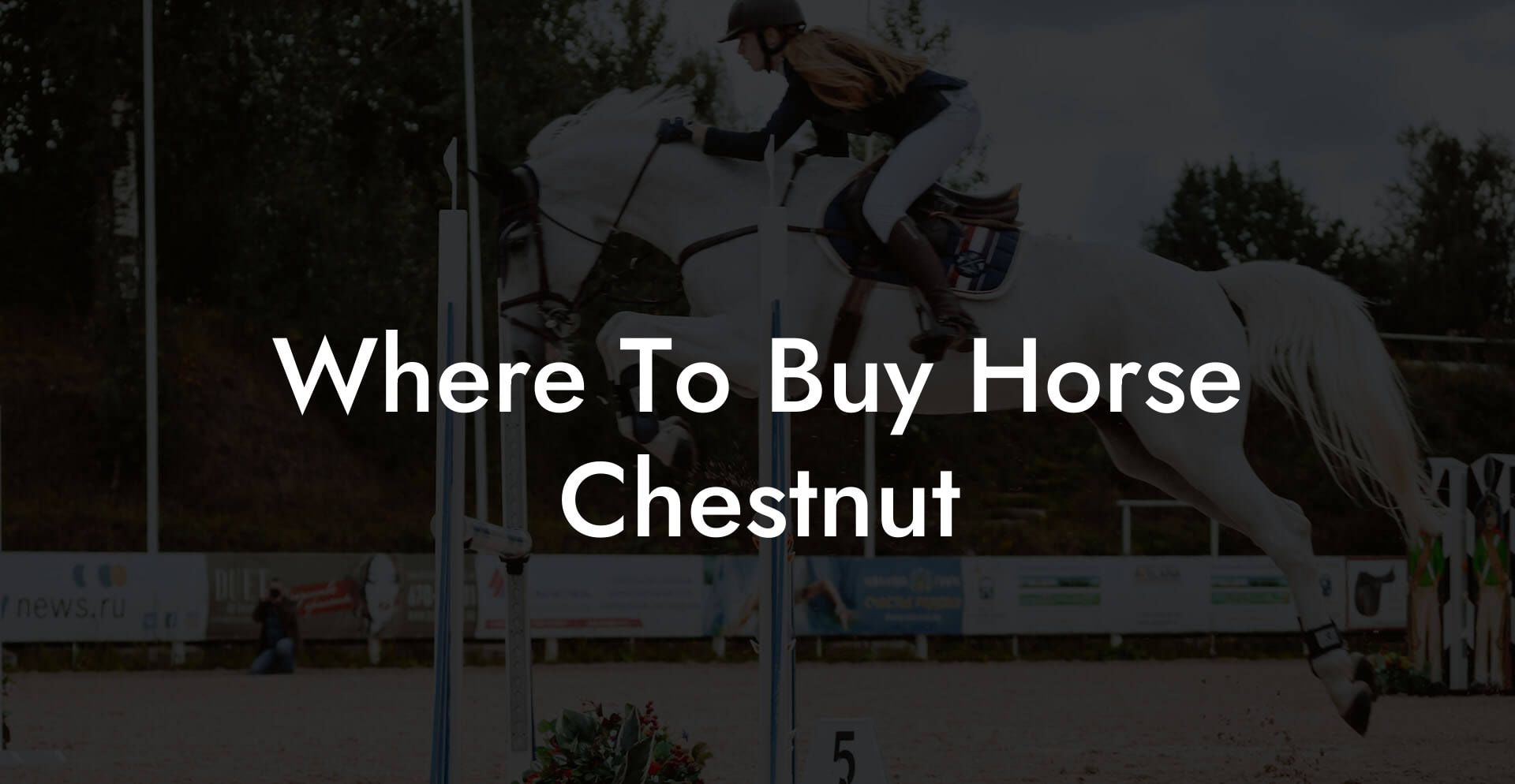 Where To Buy Horse Chestnut