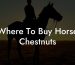 Where To Buy Horse Chestnuts