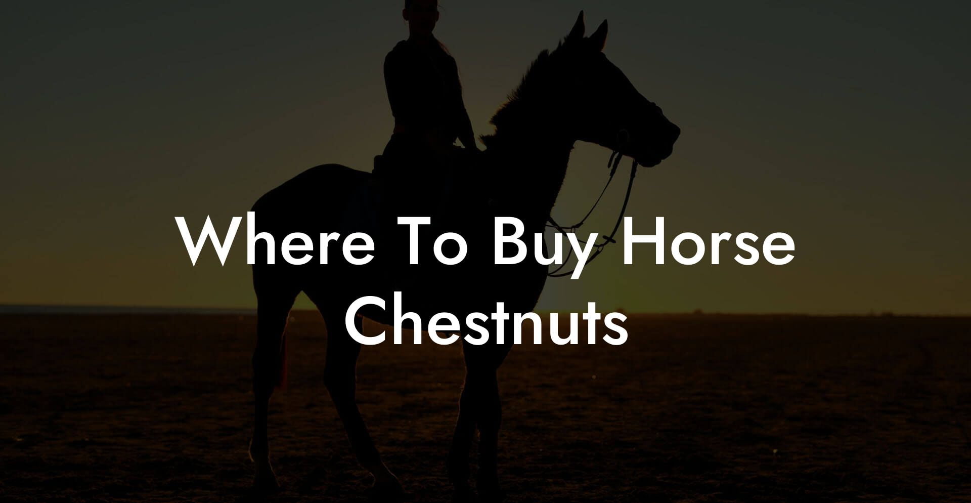 Where To Buy Horse Chestnuts