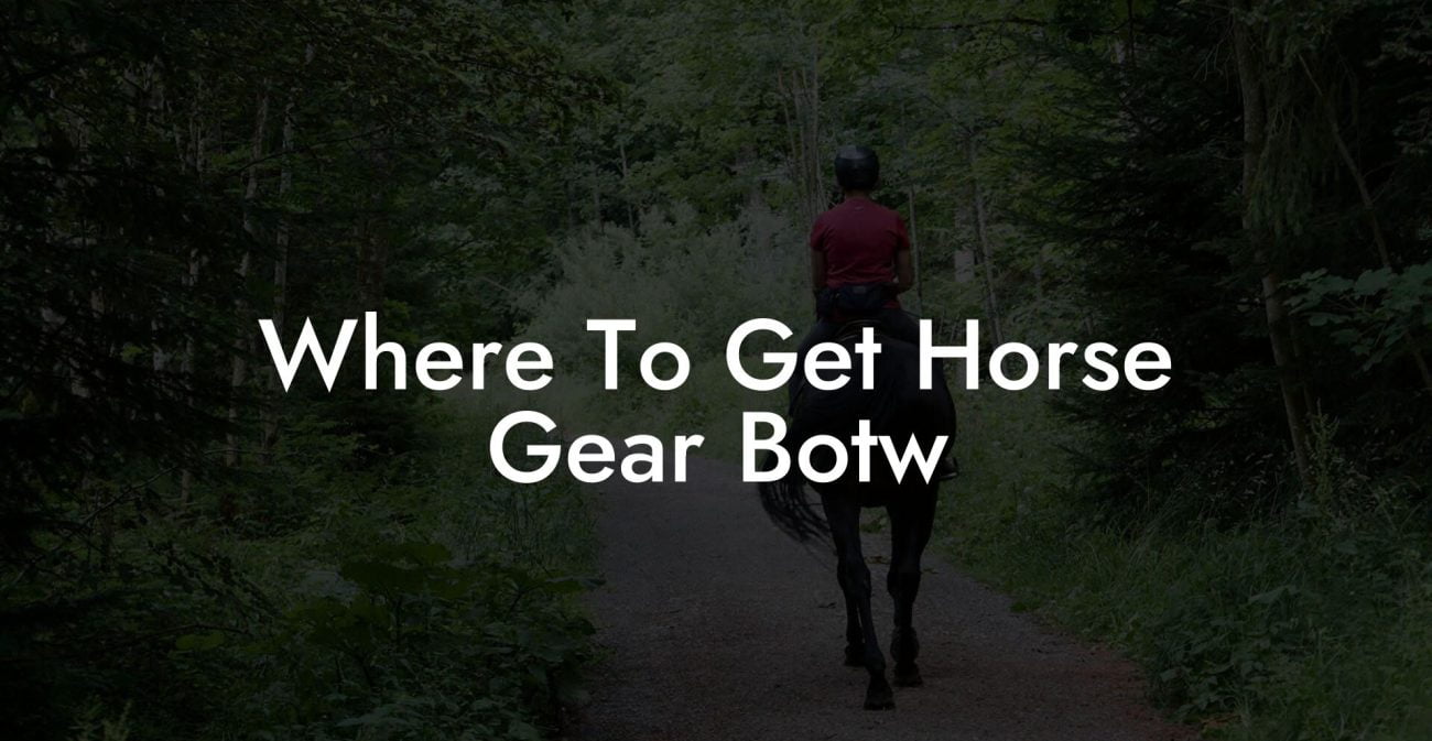 Where To Get Horse Gear Botw